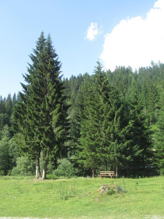 Ferienhaus Schwarzenbacher Lungötz Rum bild